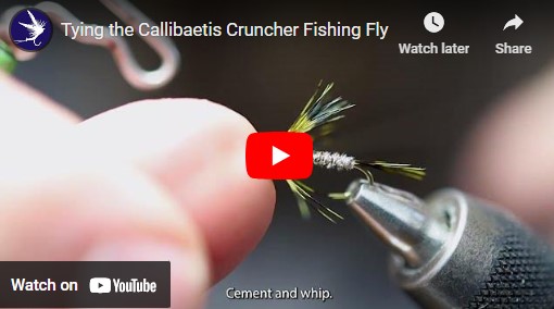 Tying a Callibaetis Cruncher Fishing Fly